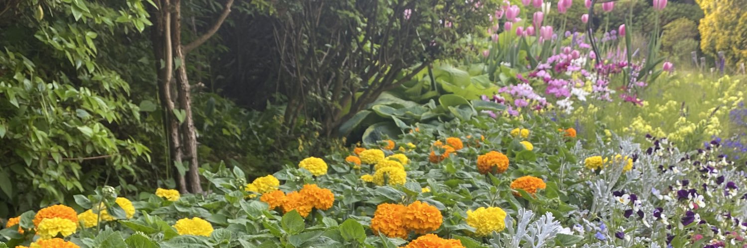 MhrllynB's profile banner image