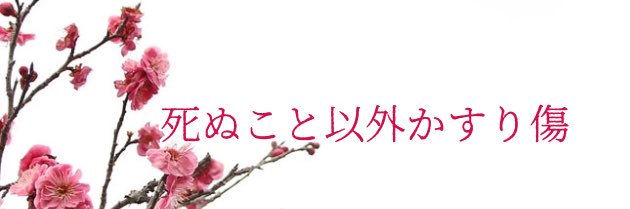 fly_a_Light's profile banner image
