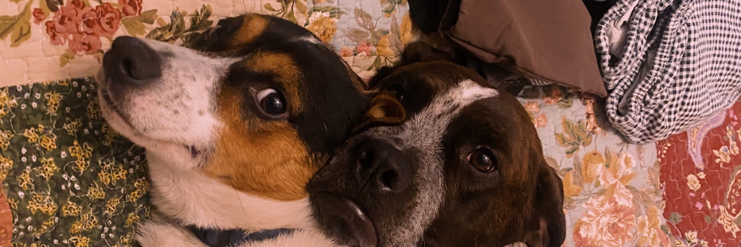 alainadiggs's profile banner image
