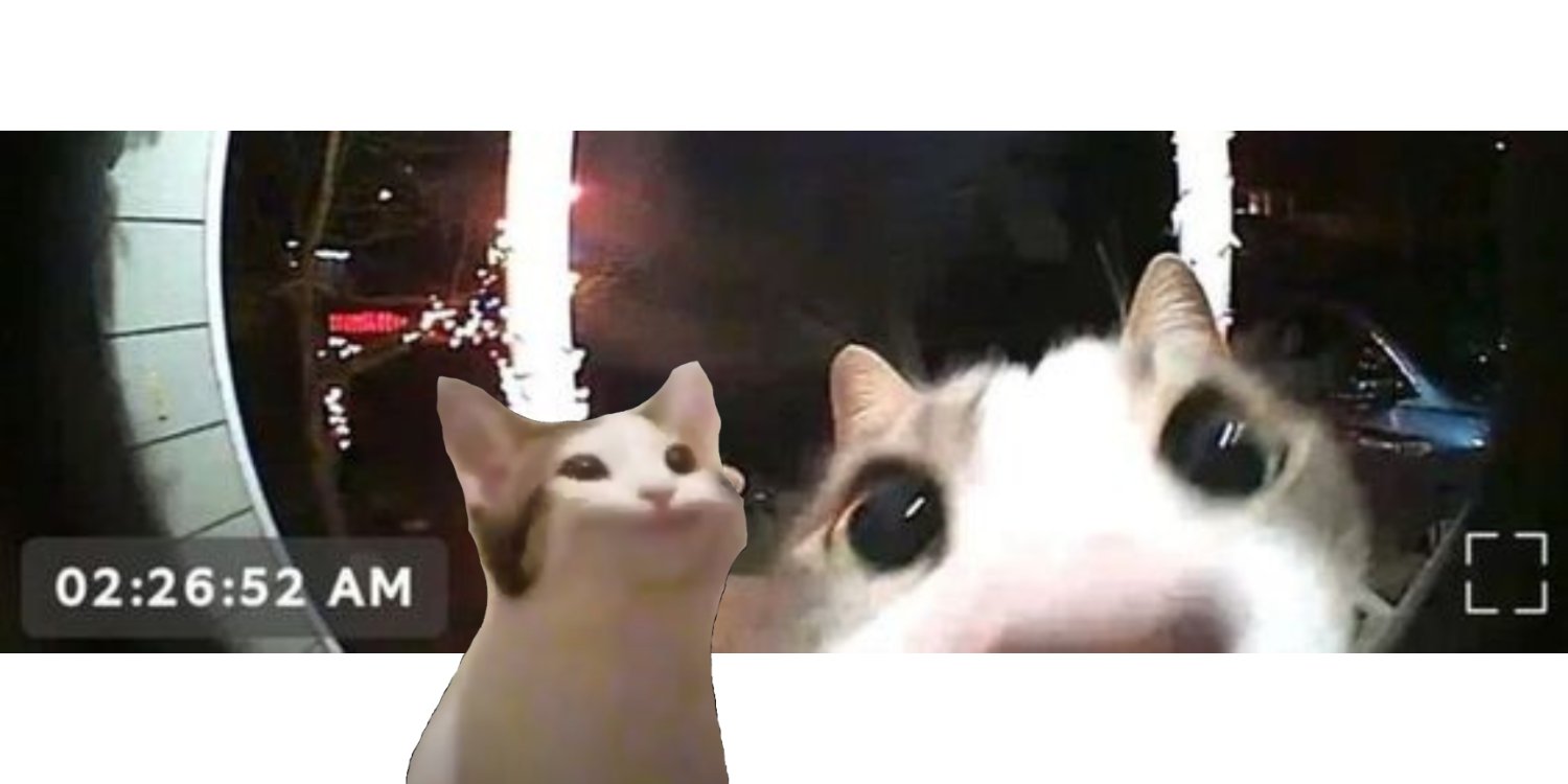 Alexcollinsin's profile banner image