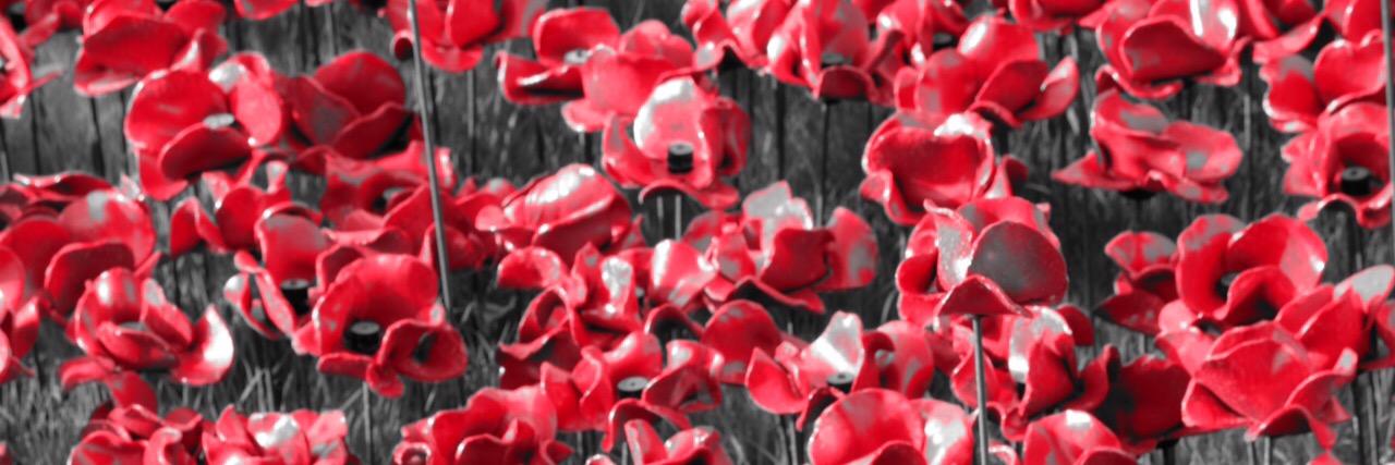 StephenBallUK's profile banner image