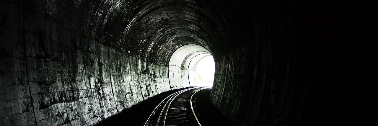 barbara davis banner