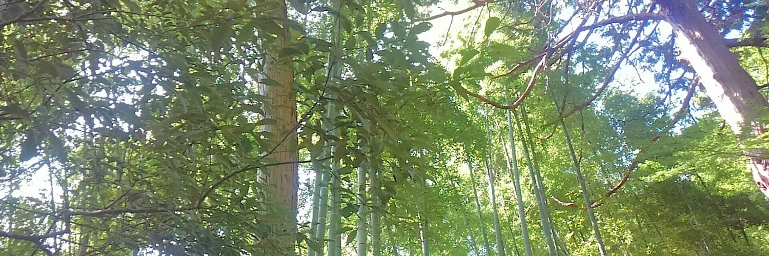 アッシー26th banner