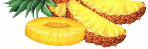 AnanasFruits's profile banner image