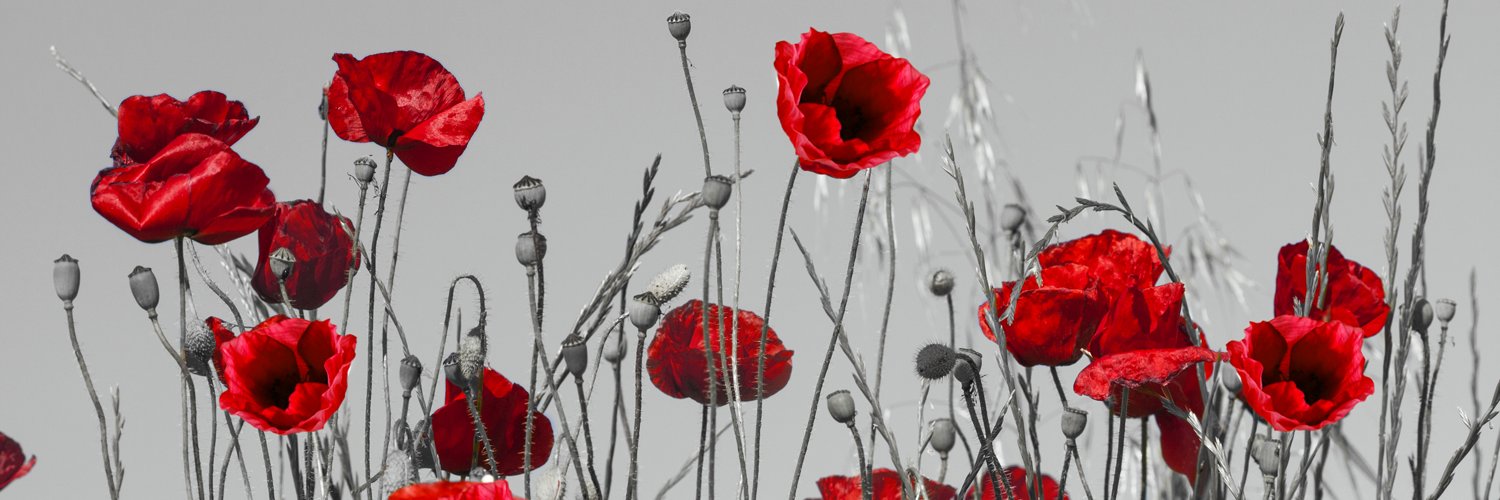 Ail_H's profile banner image