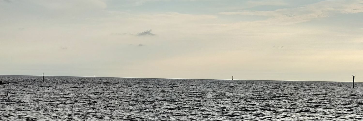 shtan95's profile banner image