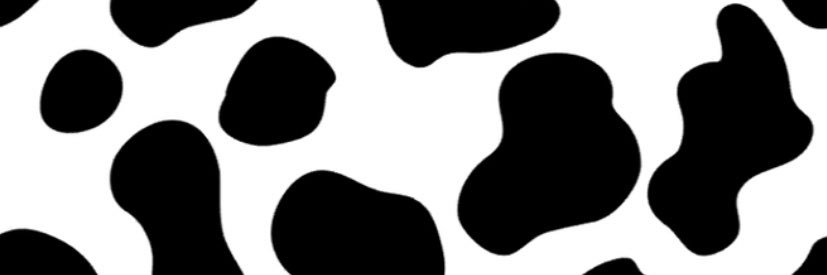 MadiTaylorx's profile banner image