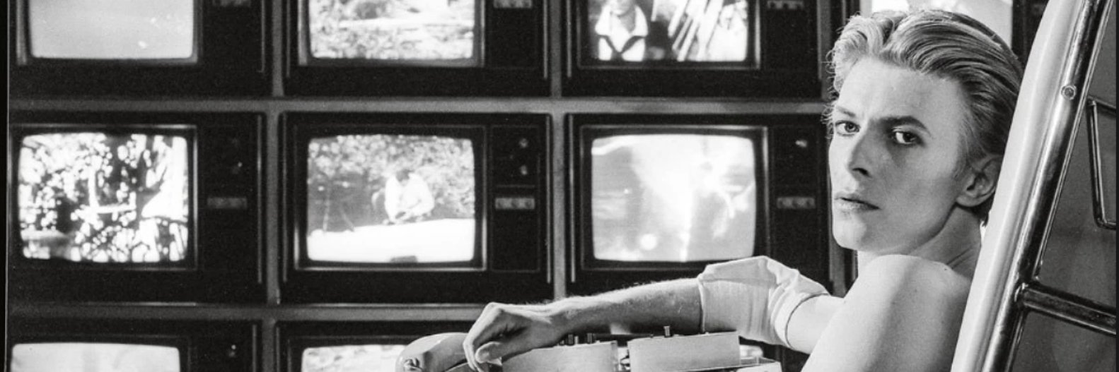 Davíð Roach banner