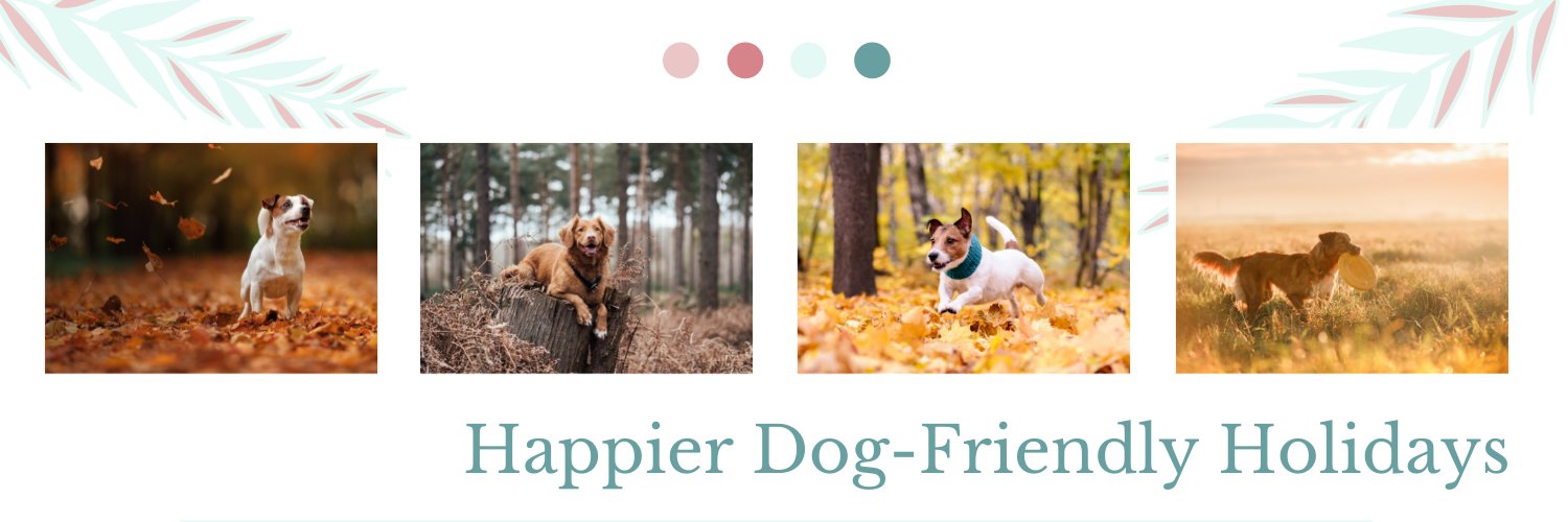 PetsPyjamas.com banner