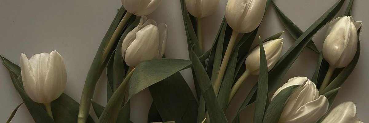 Sherin02y's profile banner image