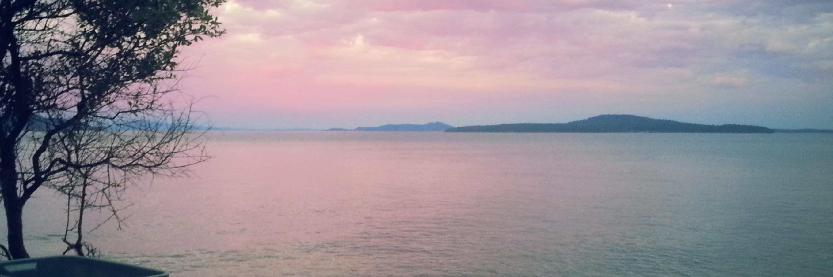 LizHoath's profile banner image