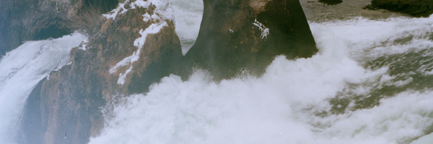 deejaywalrus's profile banner image