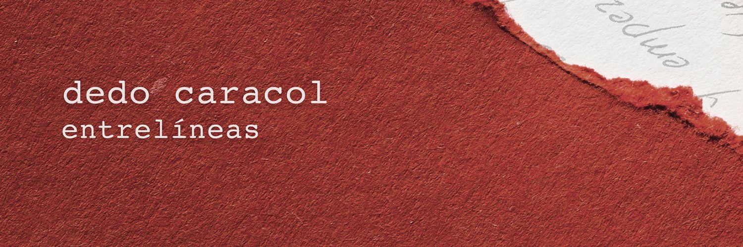 dedocaracol's profile banner image
