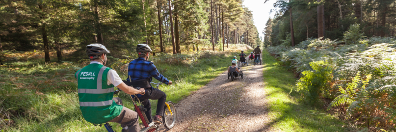 pedALLnewforest's profile banner image