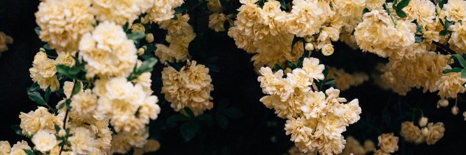 ☁️ banner