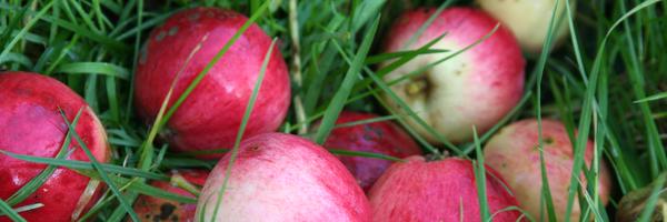 GreggsPit Profile Banner