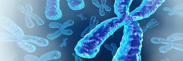 Biology of Sex Differences banner