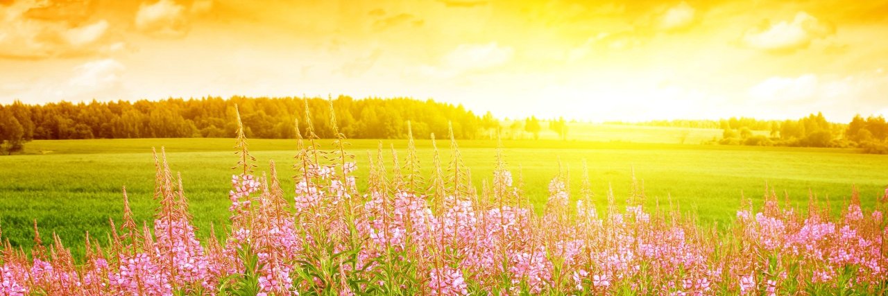 Daniela_Pulfer's profile banner image