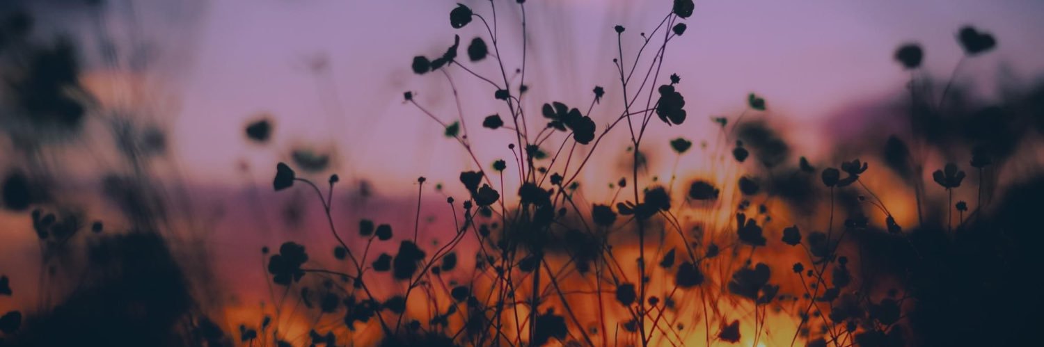 MarieChanty's profile banner image