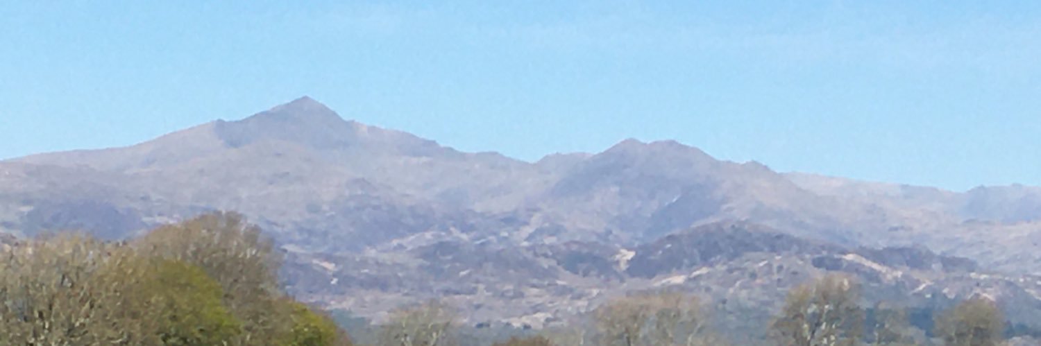 Becky Ferneyhough banner