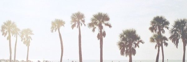 LaceyHawker's profile banner image