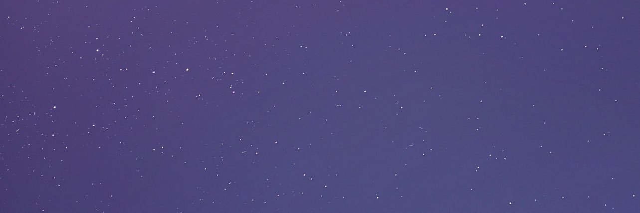 Leanne Ann Mane banner