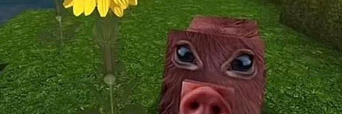 Shlibbon's profile banner image