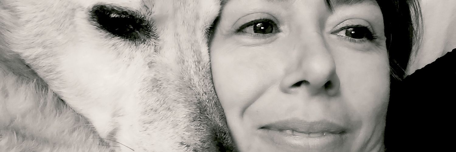 nardidaniela16's profile banner image