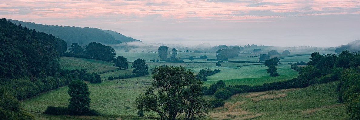 anne-laure gaffuri banner