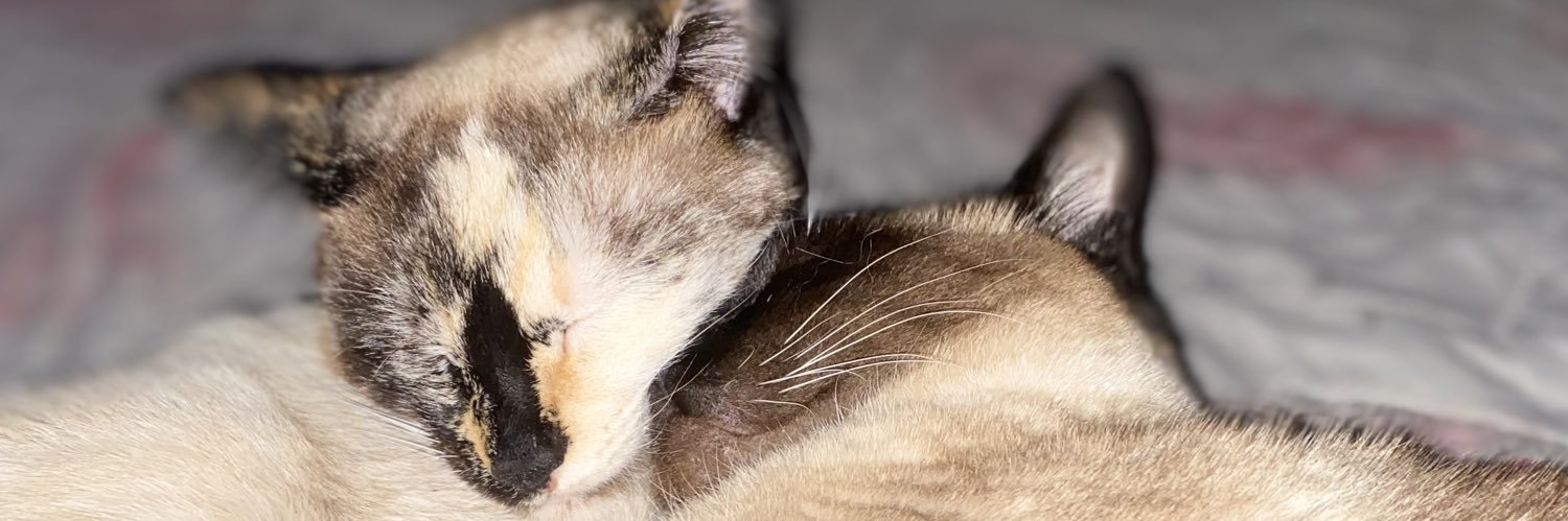 _baxb's profile banner image