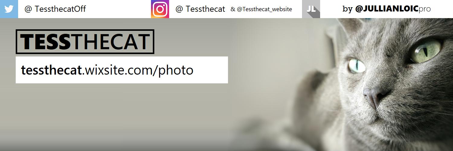 TessthecatOff's profile banner image