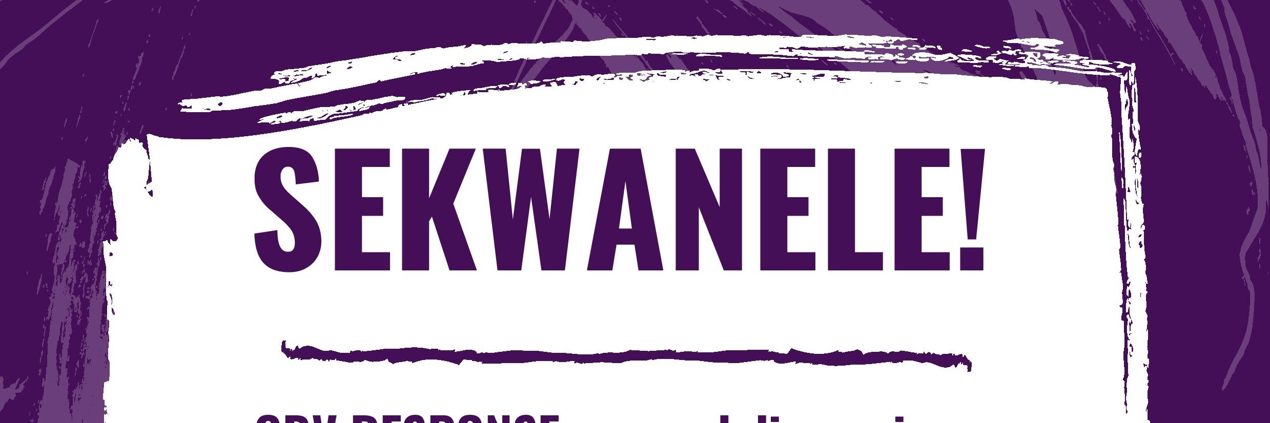 Wits Gender Equity banner