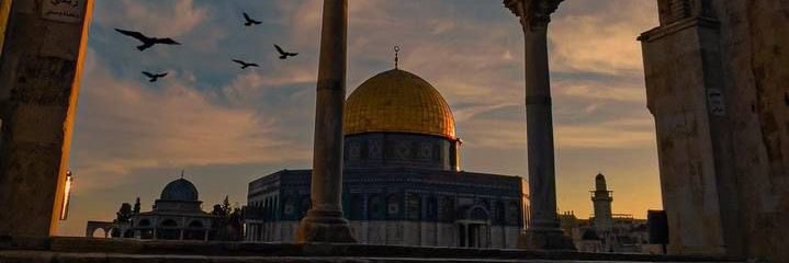 sumaa10's profile banner image