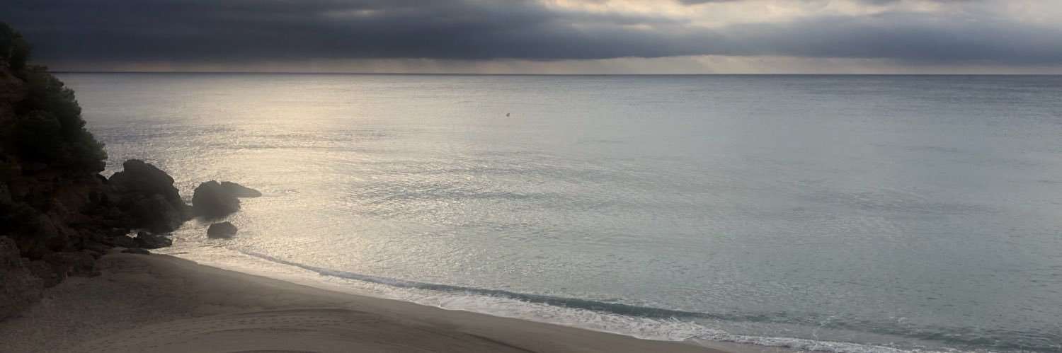 Oscar González banner