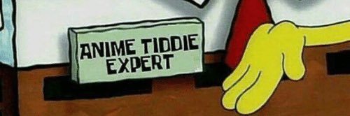 Amerifat Yuropoor banner