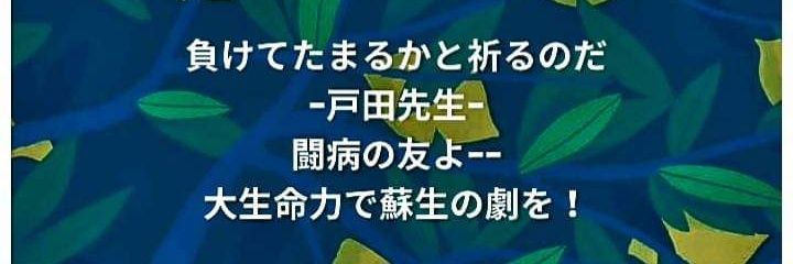 profileEiko's profile banner image