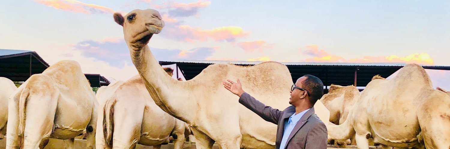 XamseMahamed's profile banner image