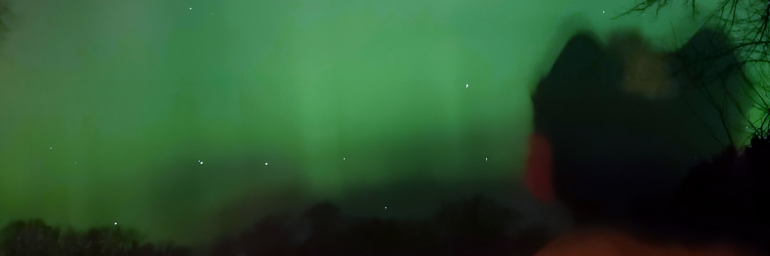 ☽ zeeleafs ☾ banner