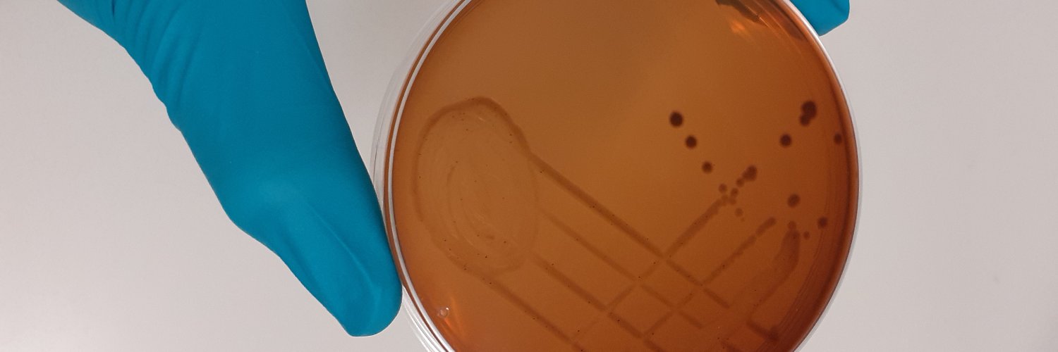 Andrew P Desbois banner