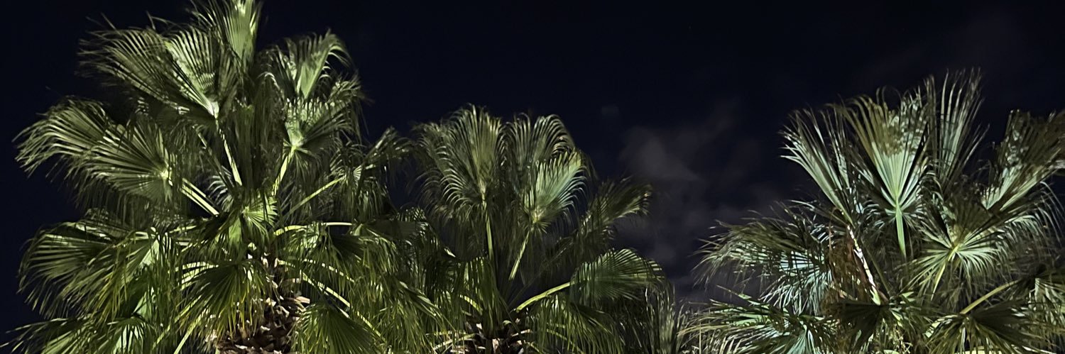 nihalergl's profile banner image
