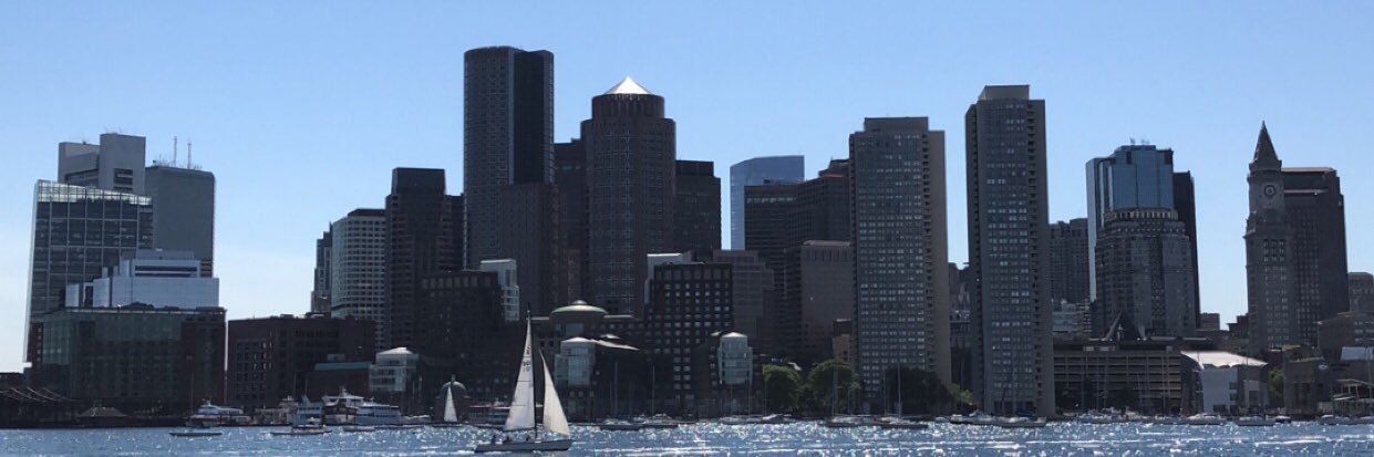 Im 50 Tyson™ banner