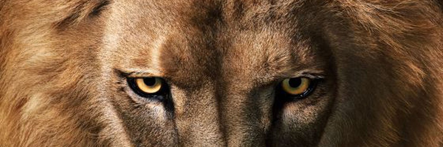 riversvirus's profile banner image