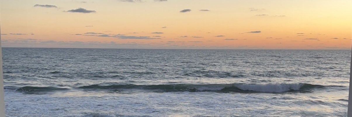 KaylaPatyk's profile banner image