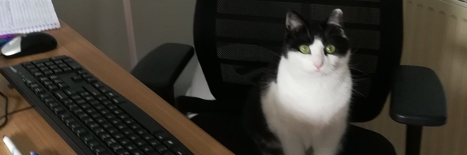 lmurphy981's profile banner image