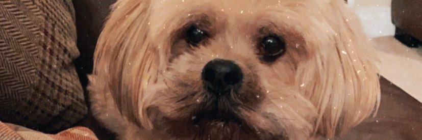Jess_____xo's profile banner image