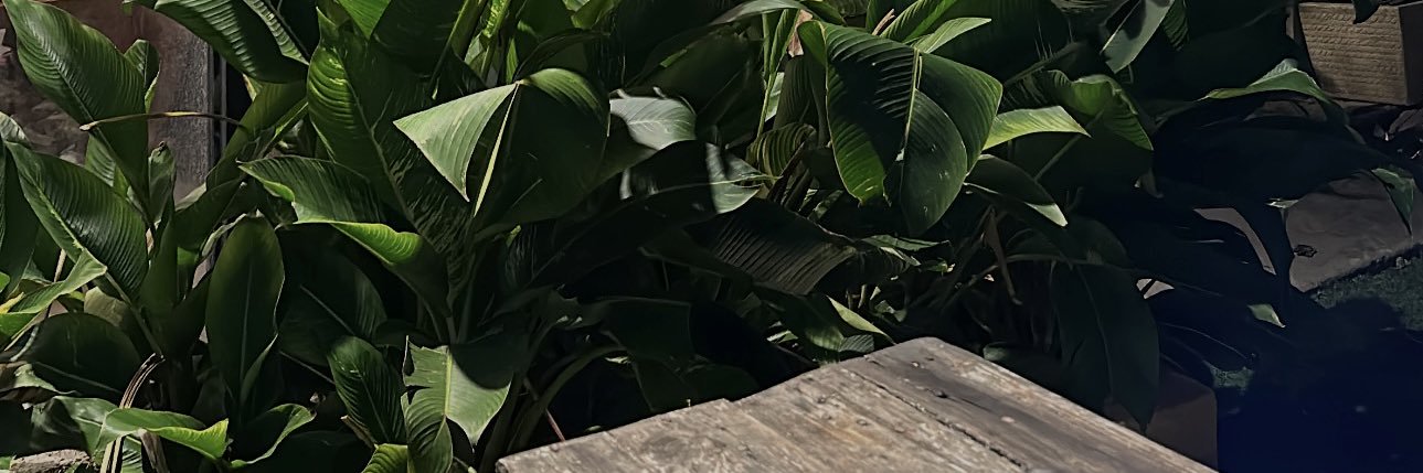 evebergz's profile banner image