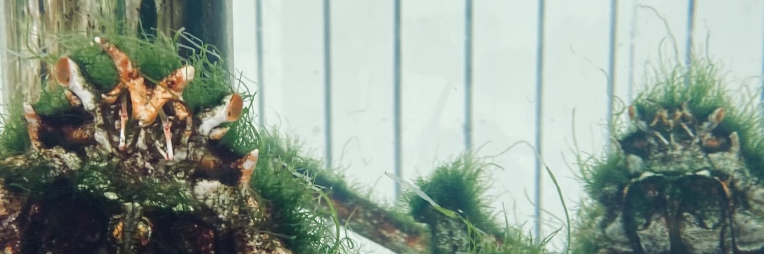 poat03's profile banner image