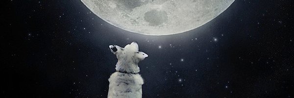 myajure26's profile banner image