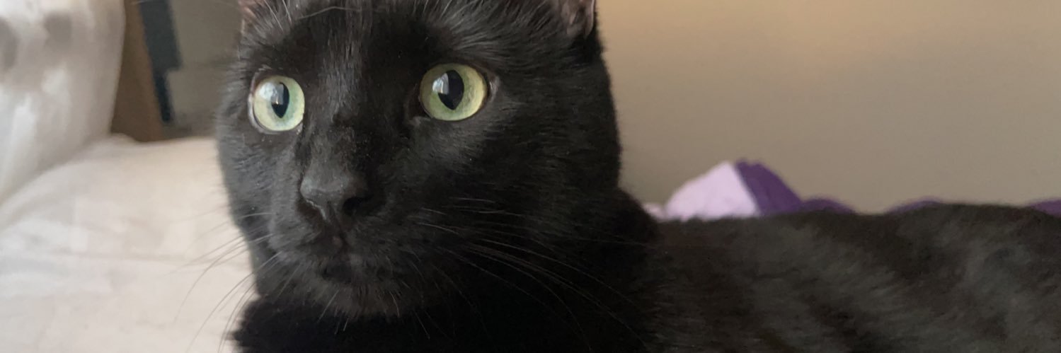 winnie90s's profile banner image