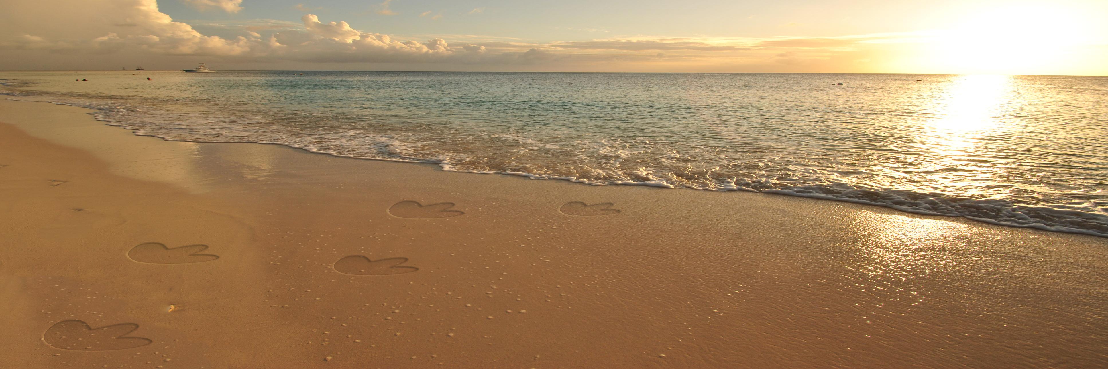 itrexweb's profile banner image